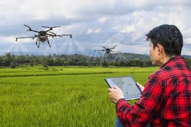 Smart Farming in Cambodia: How Green Tech is Transforming Agriculture