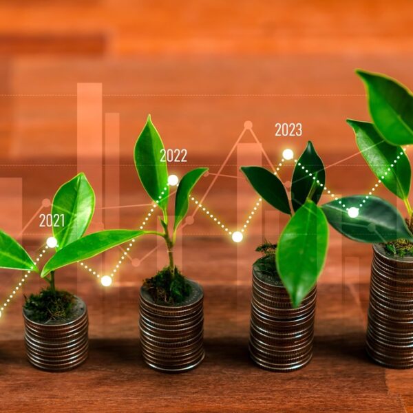 how-to-start-renewable-energy-portfolio-500